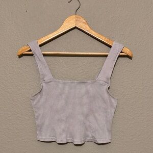 Adore Me Ribbed Crop Top in Light Gray